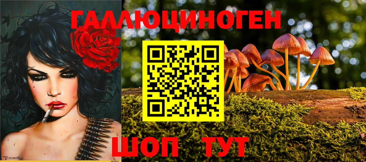 Галлюциногенные грибы Psilocybe  Вход с VPN  купить наркотики сайты  Костомукша 